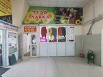 Chudo-lavka (Leona Pozemskogo Street, 111к1) ، متجر ملابس