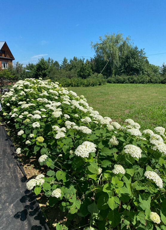Фото Красный городок