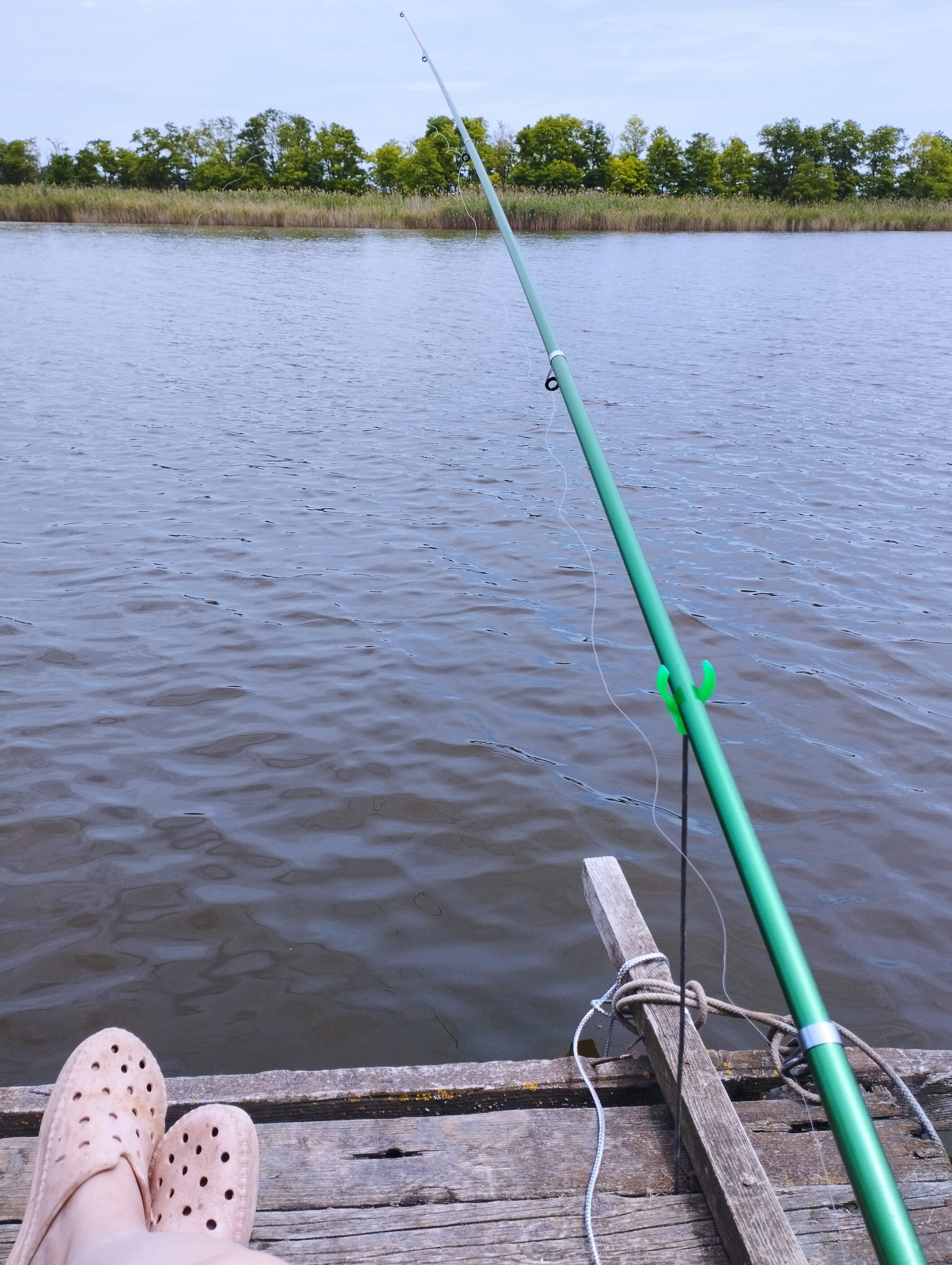 Фото У Елены