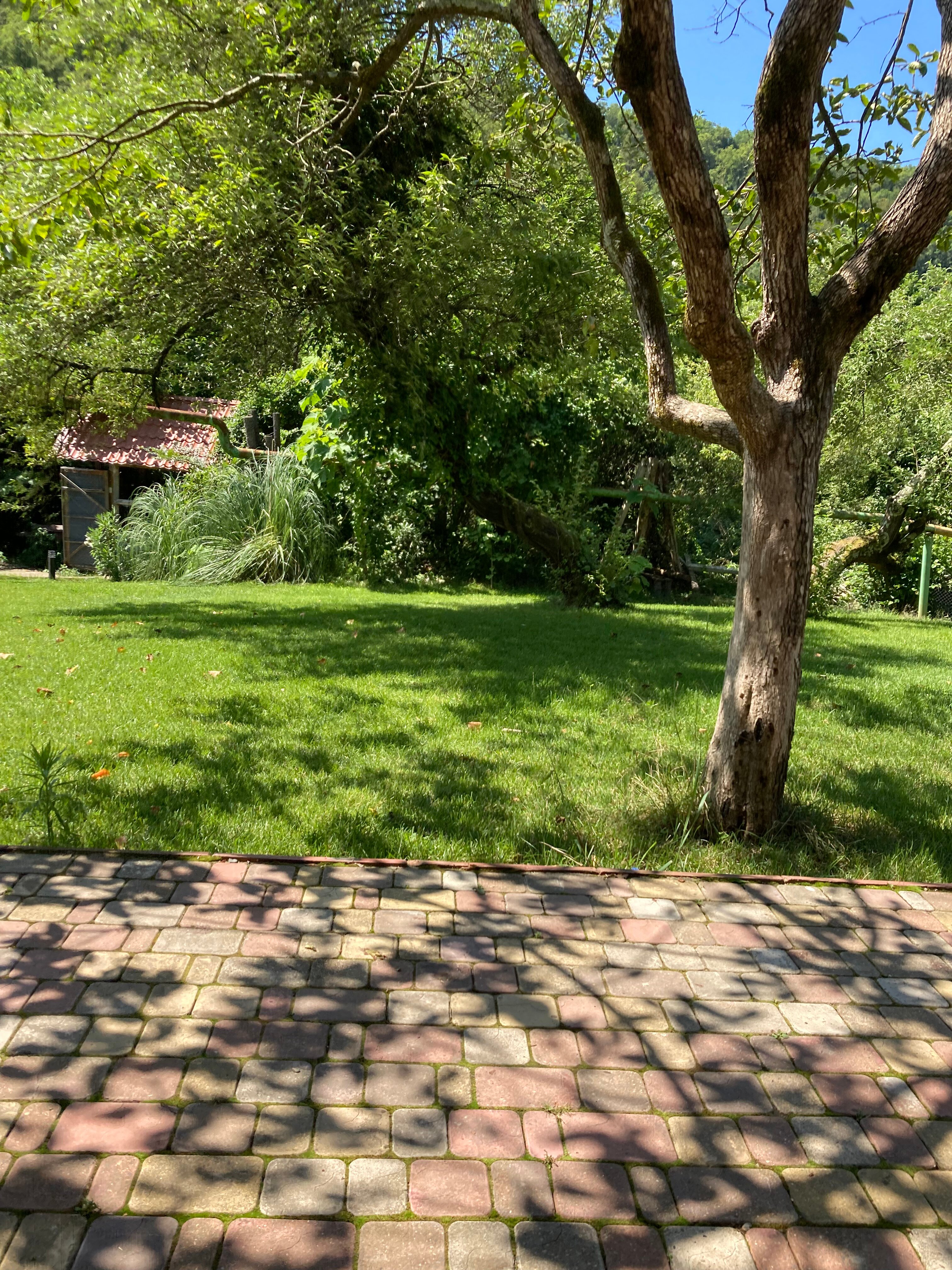 Фото Yoga Village