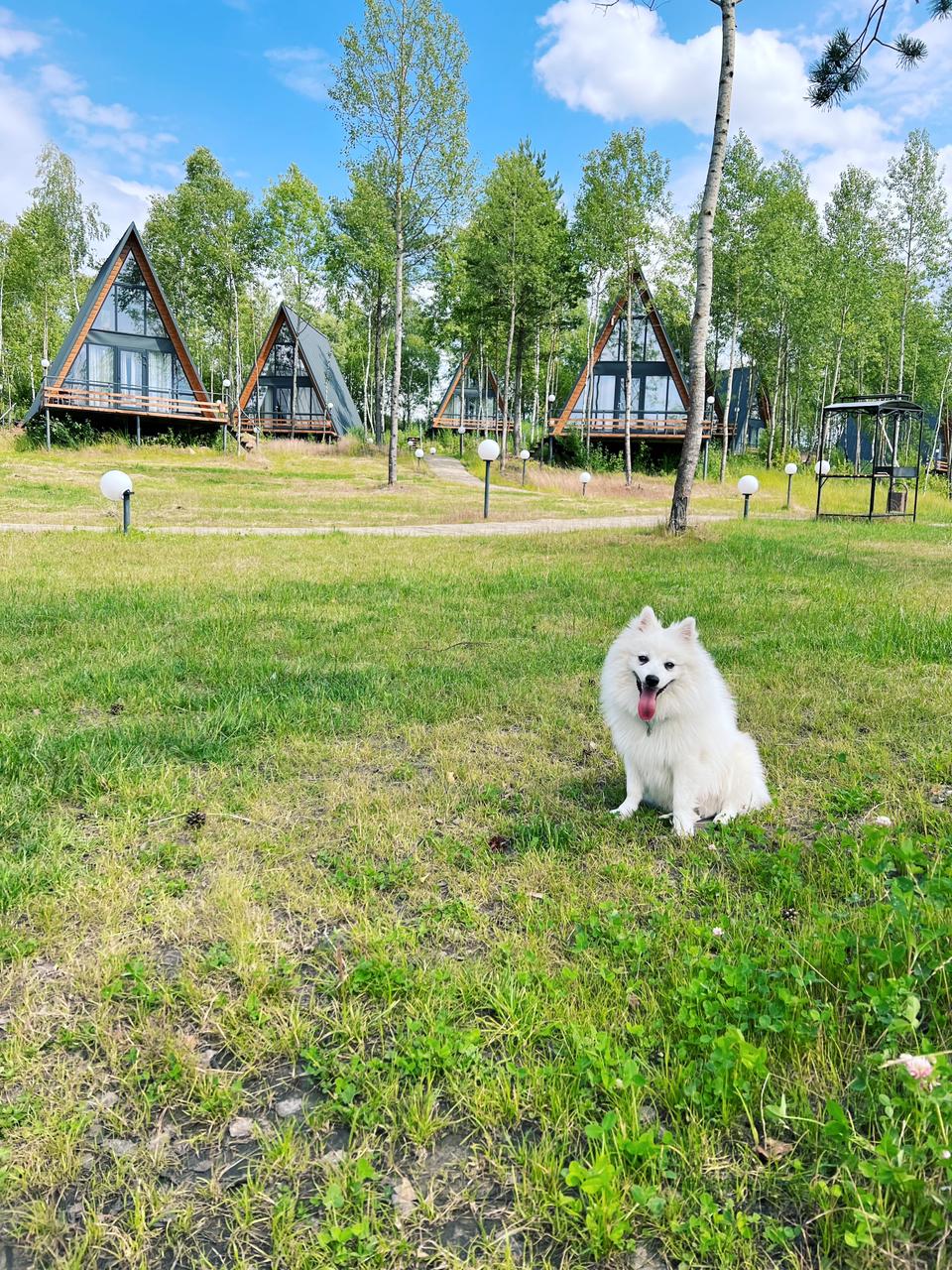 Фото Некрасово