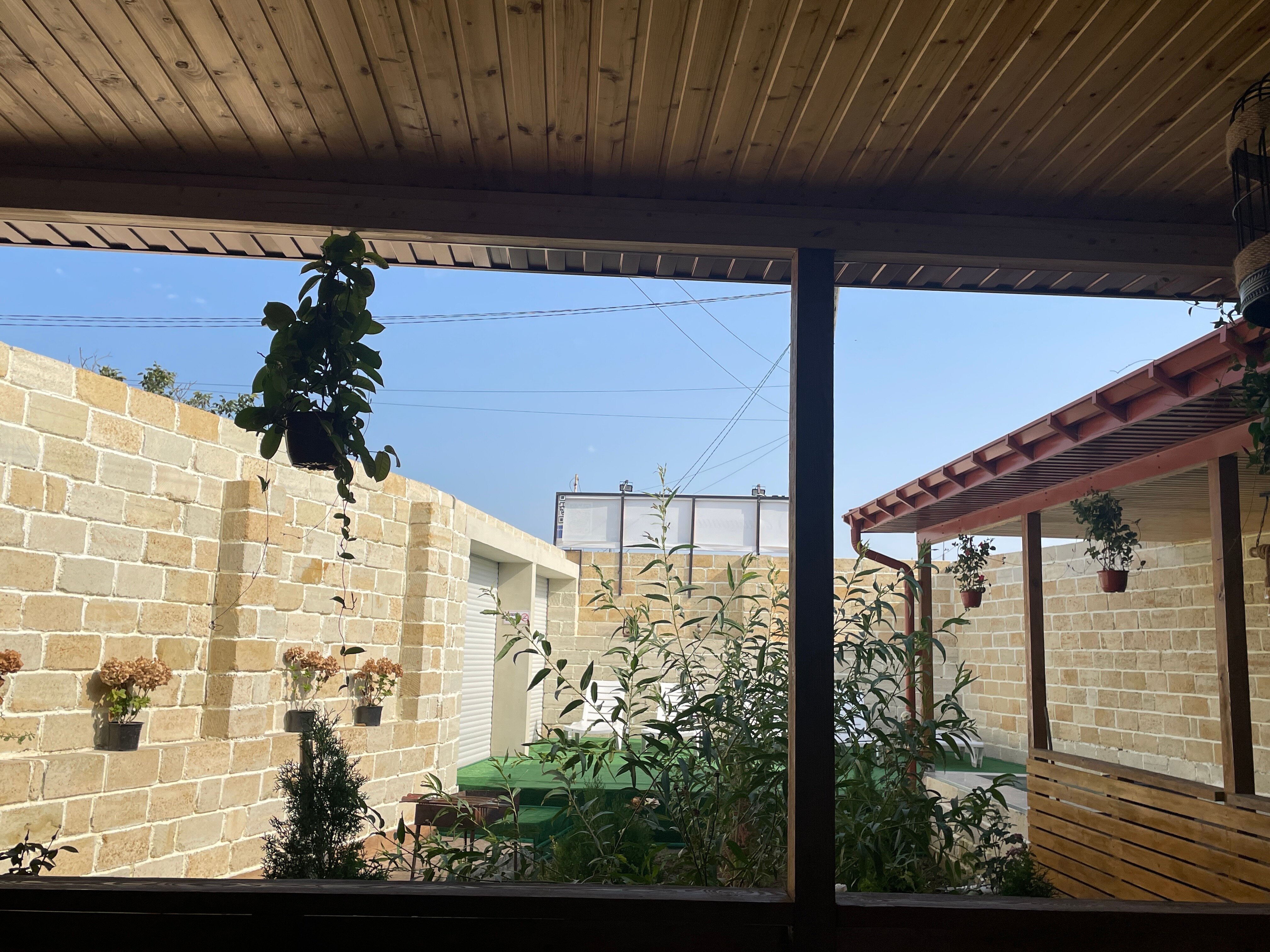 Фото Домашний