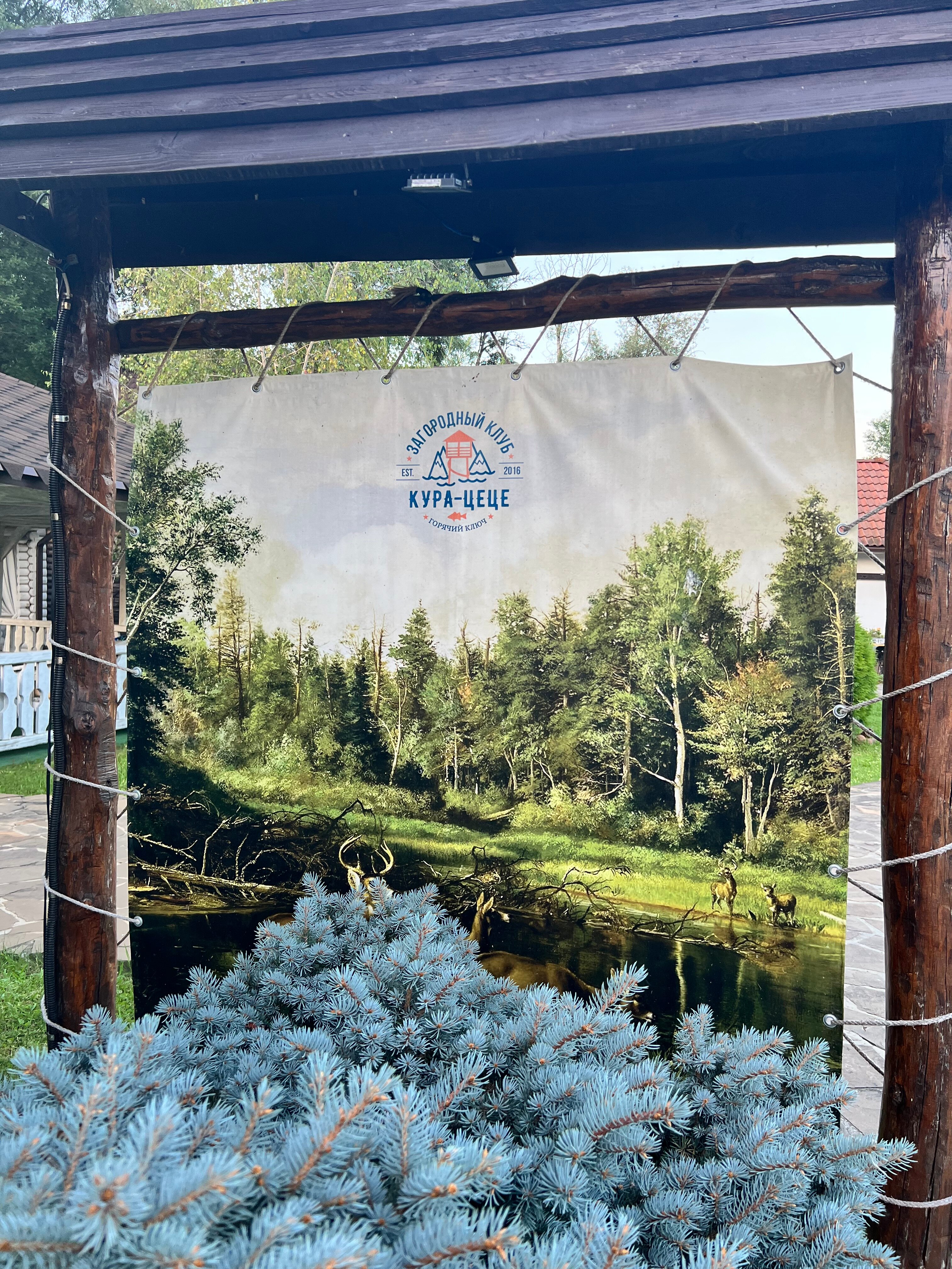 Фото Кура-цеце