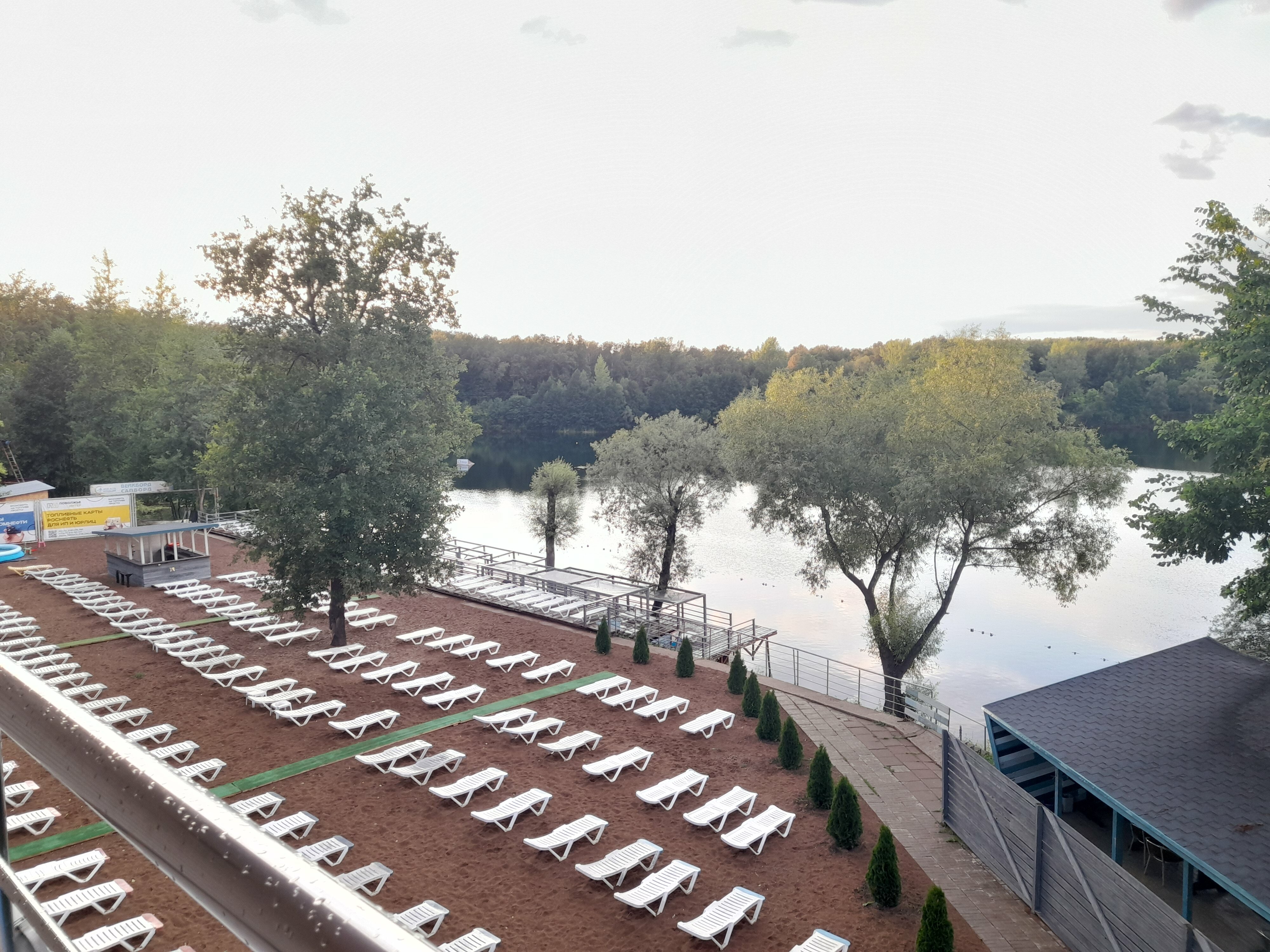 Фото Красивая поляна