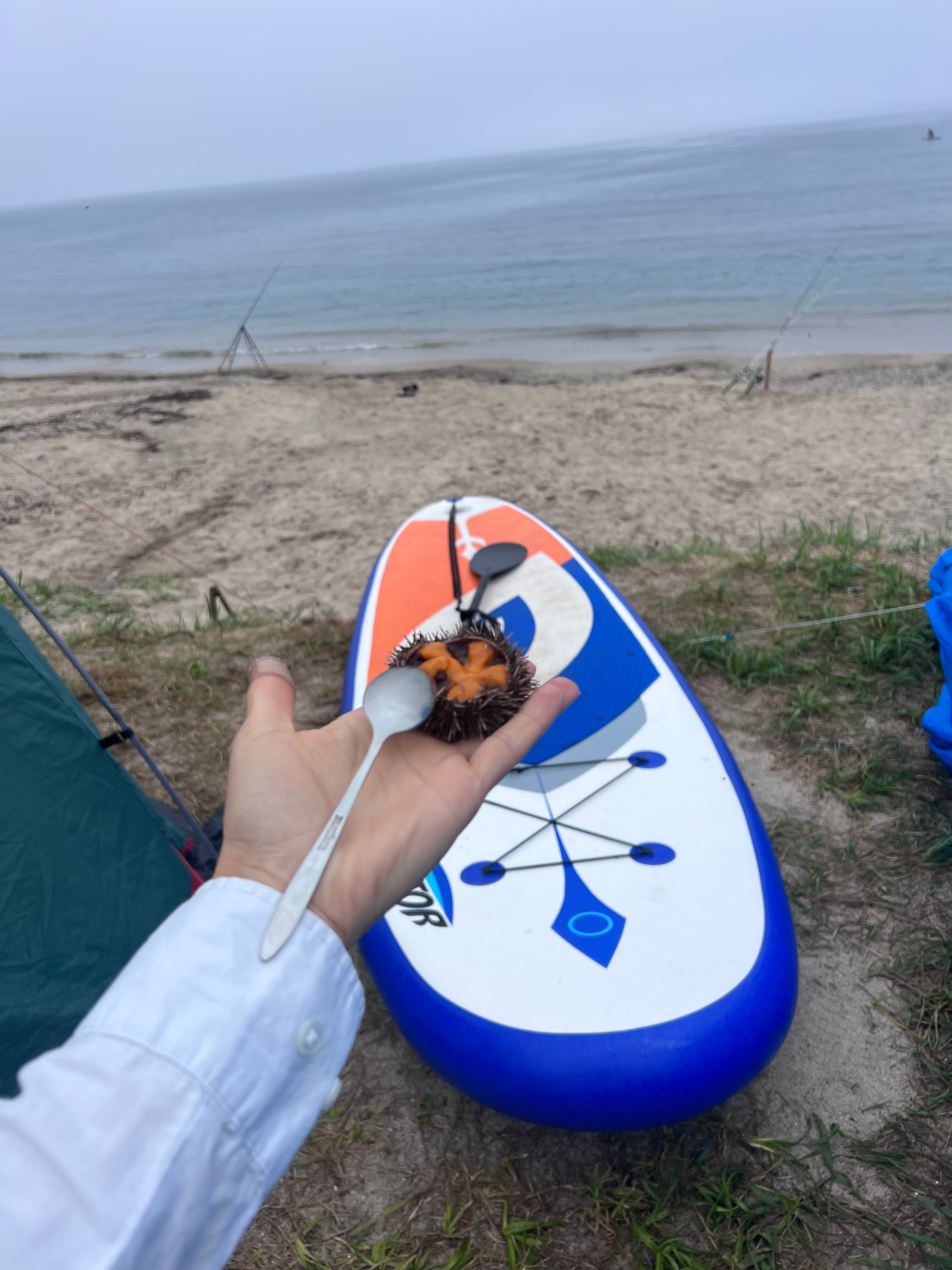 Фото Чинтамани