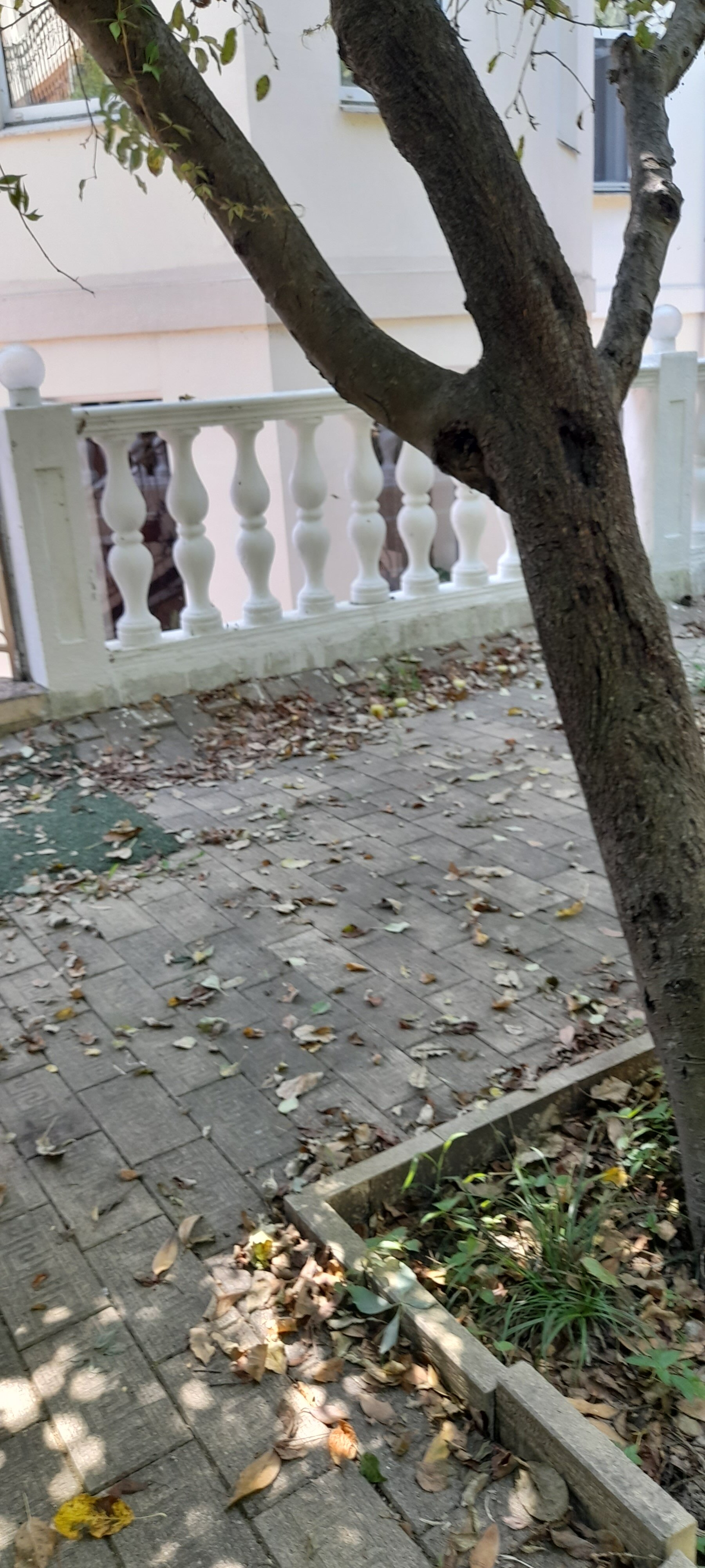 Фото Анна-вояж