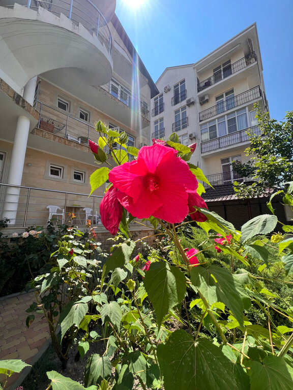 Фото отеля 2