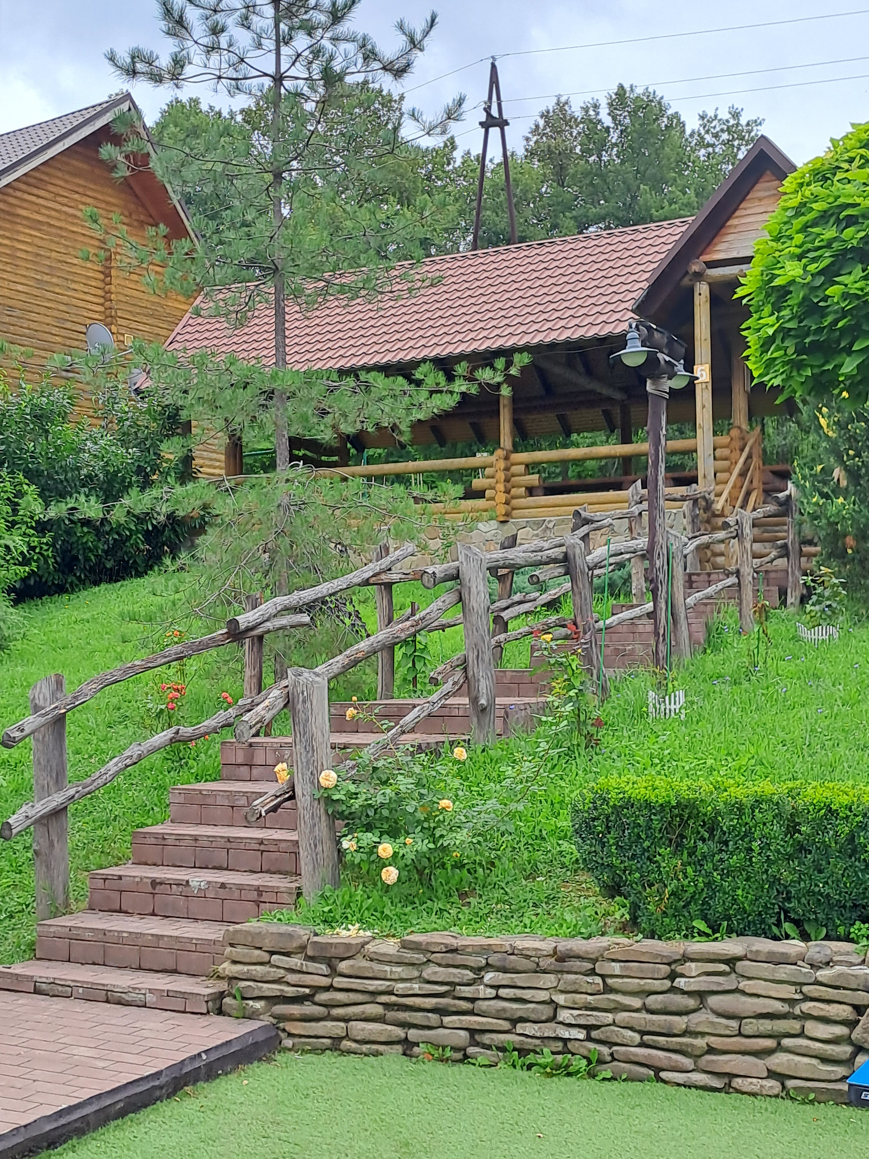 Фото Кура-цеце