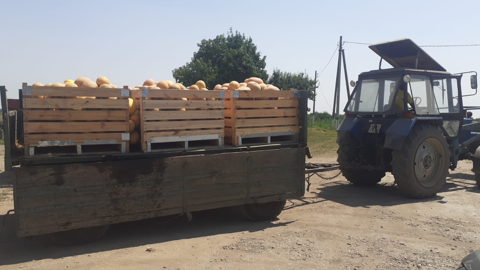 Фото Ясенская коса