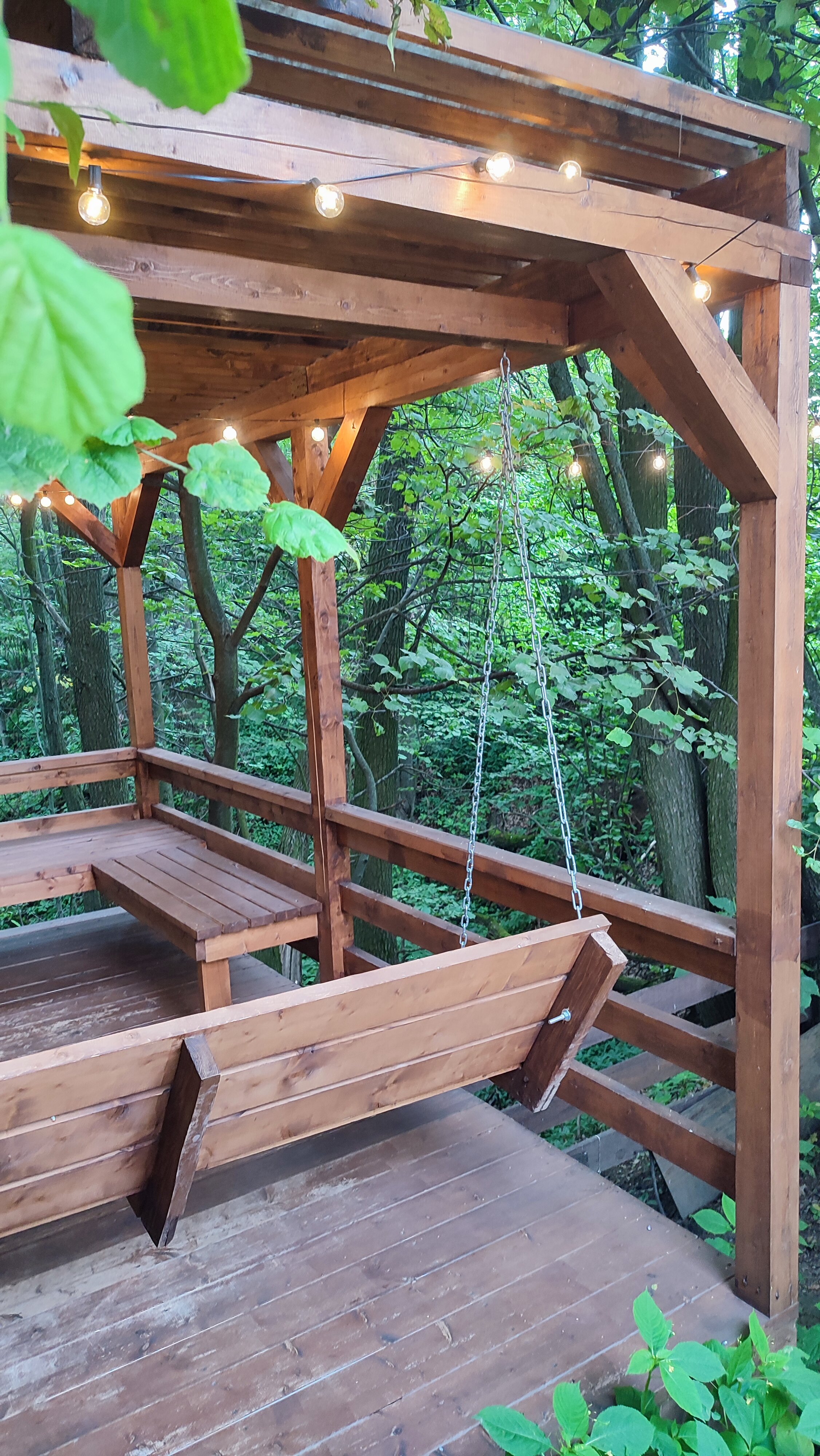 Фото Жёлуди