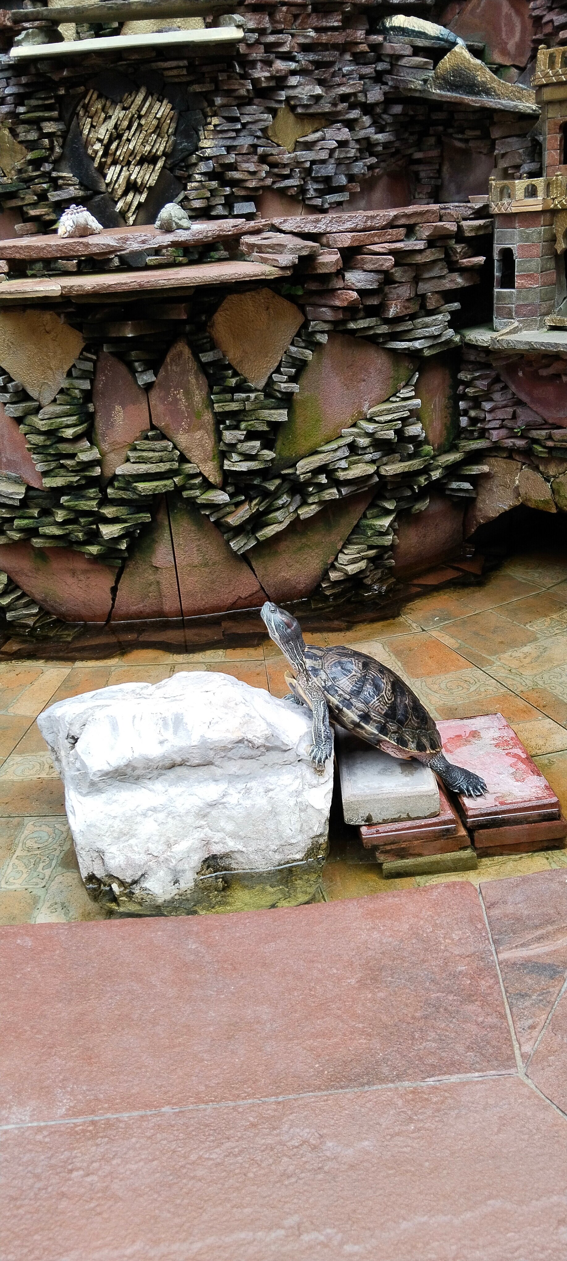 Фото Гостевой дом Анна