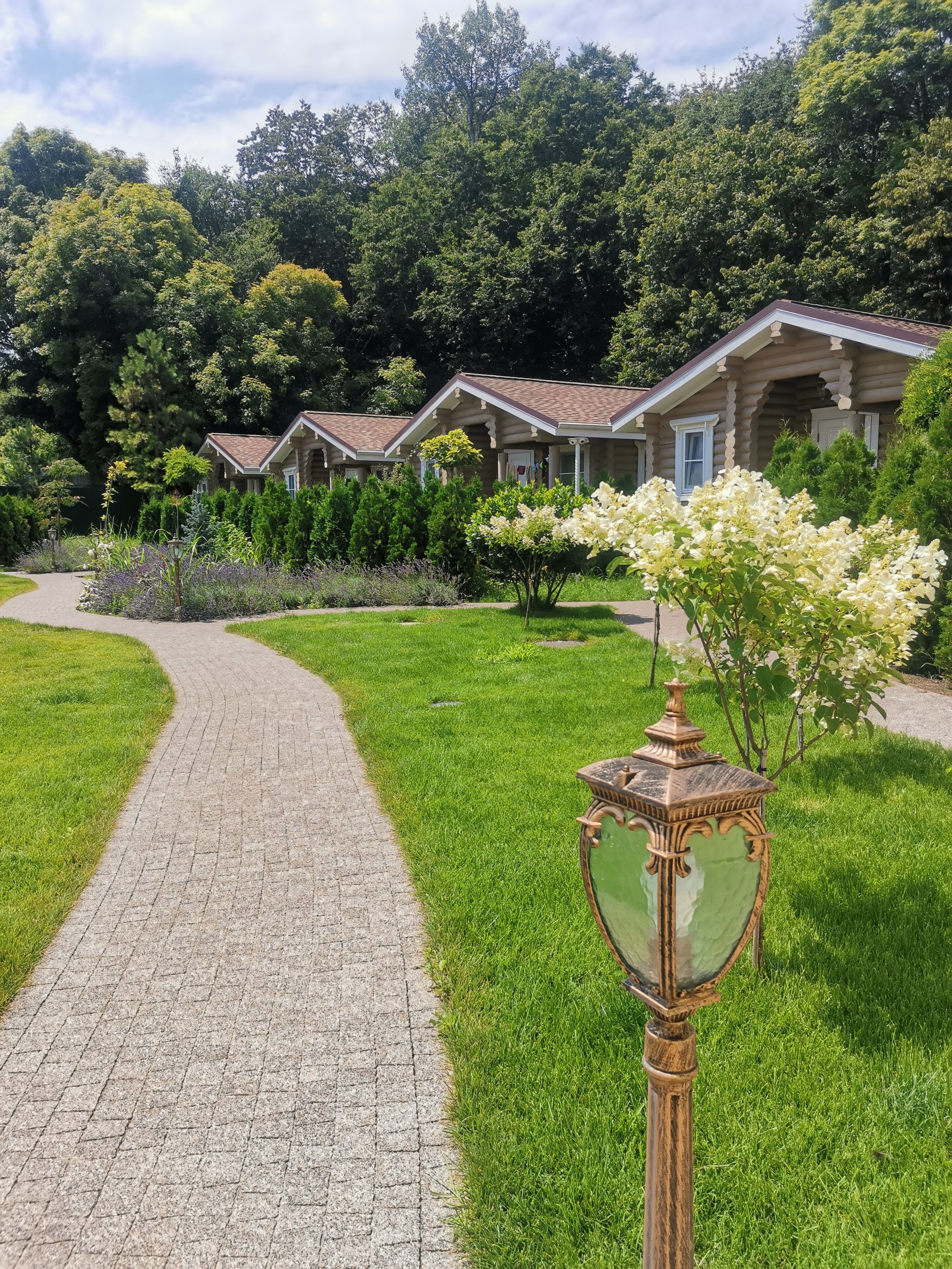 Фото Лаванда