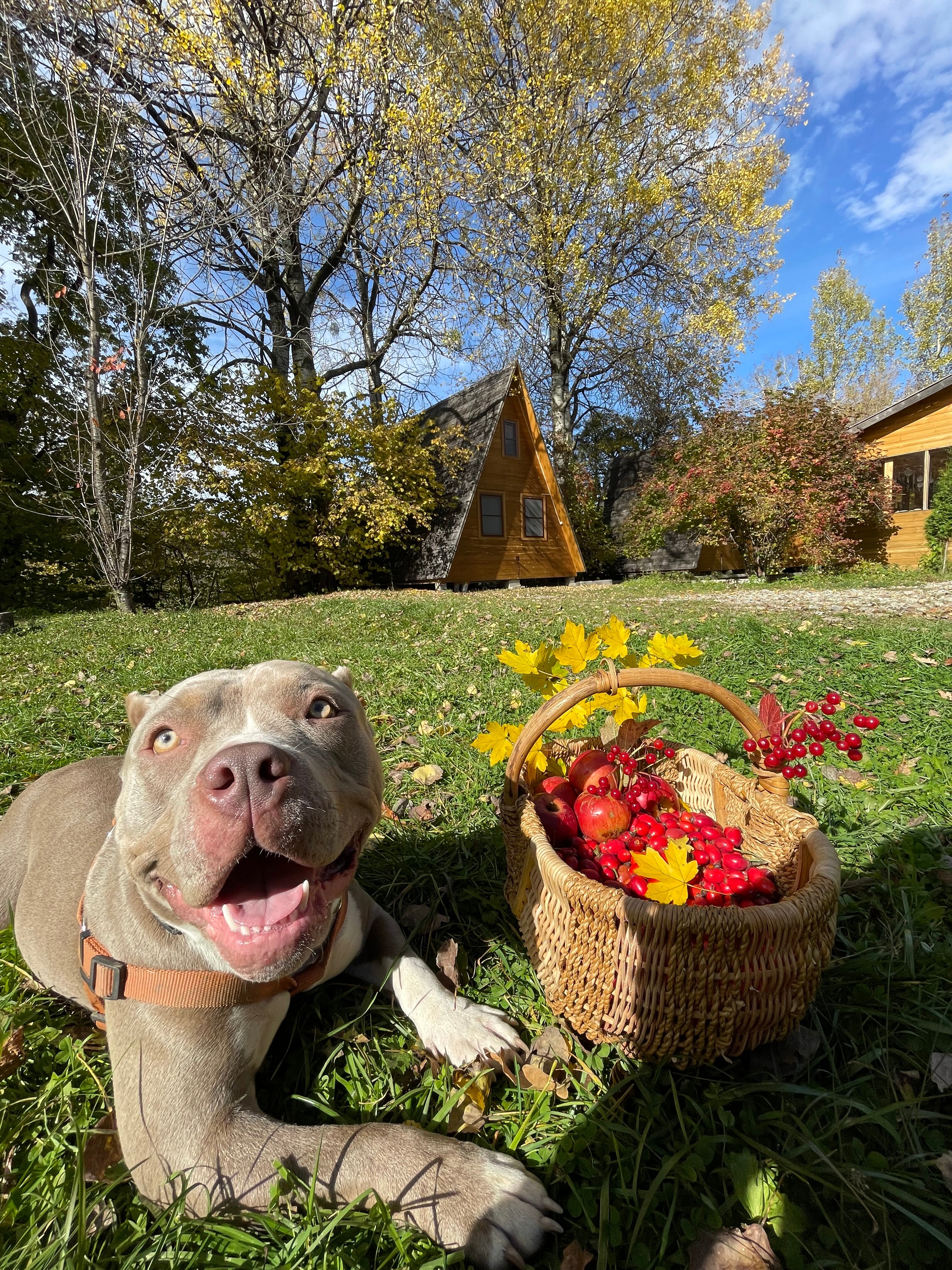 Фото Теремки у реки по дороге на Архыз