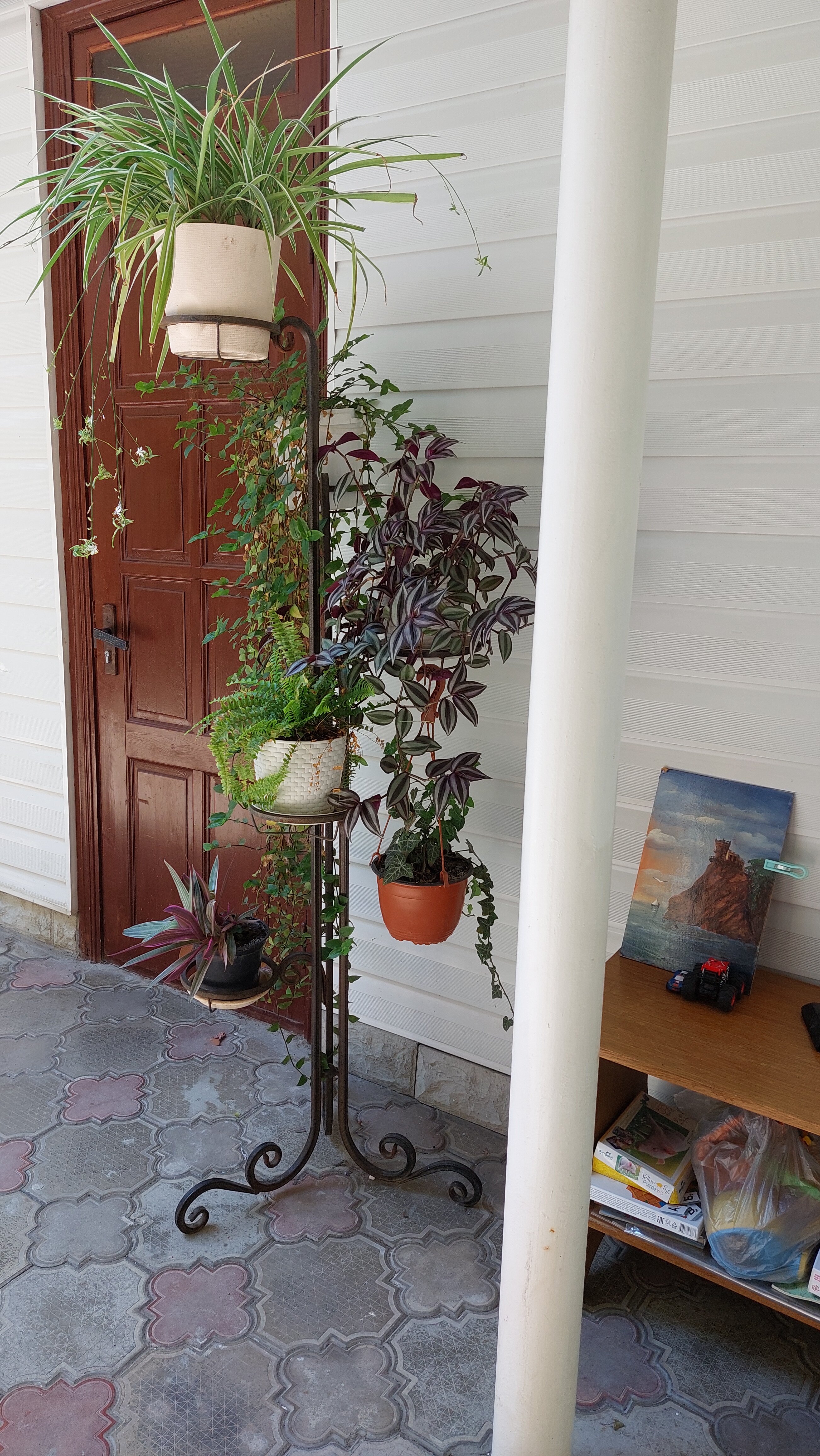 Фото Ванилька