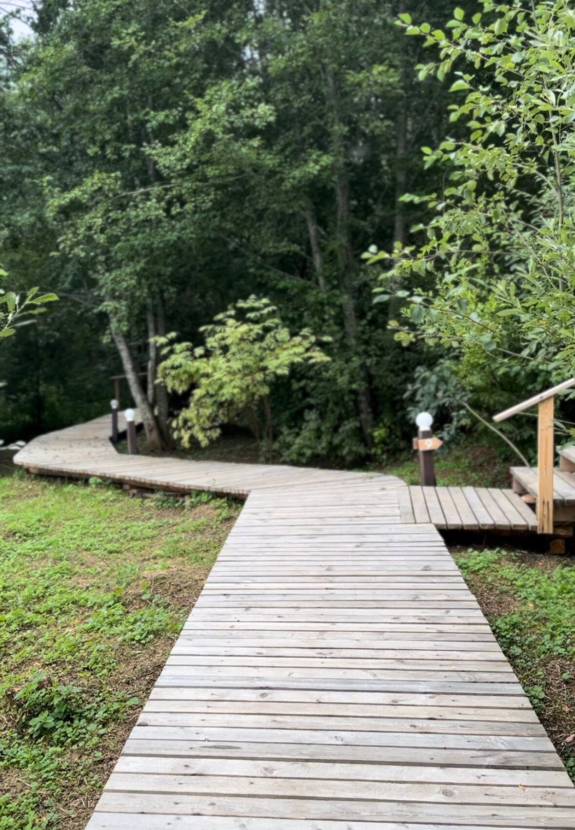 Фото Глэмпинг Видомлицы