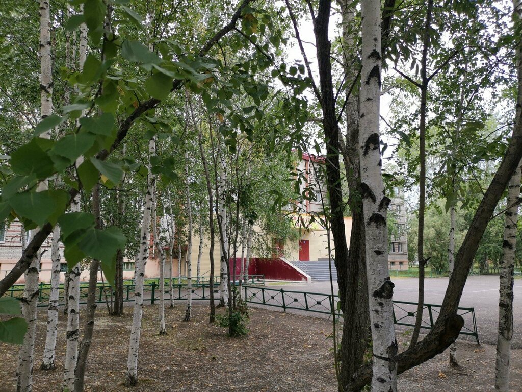 Общеобразовательная школа МБОУ СОШ № 12, Сургут, фото
