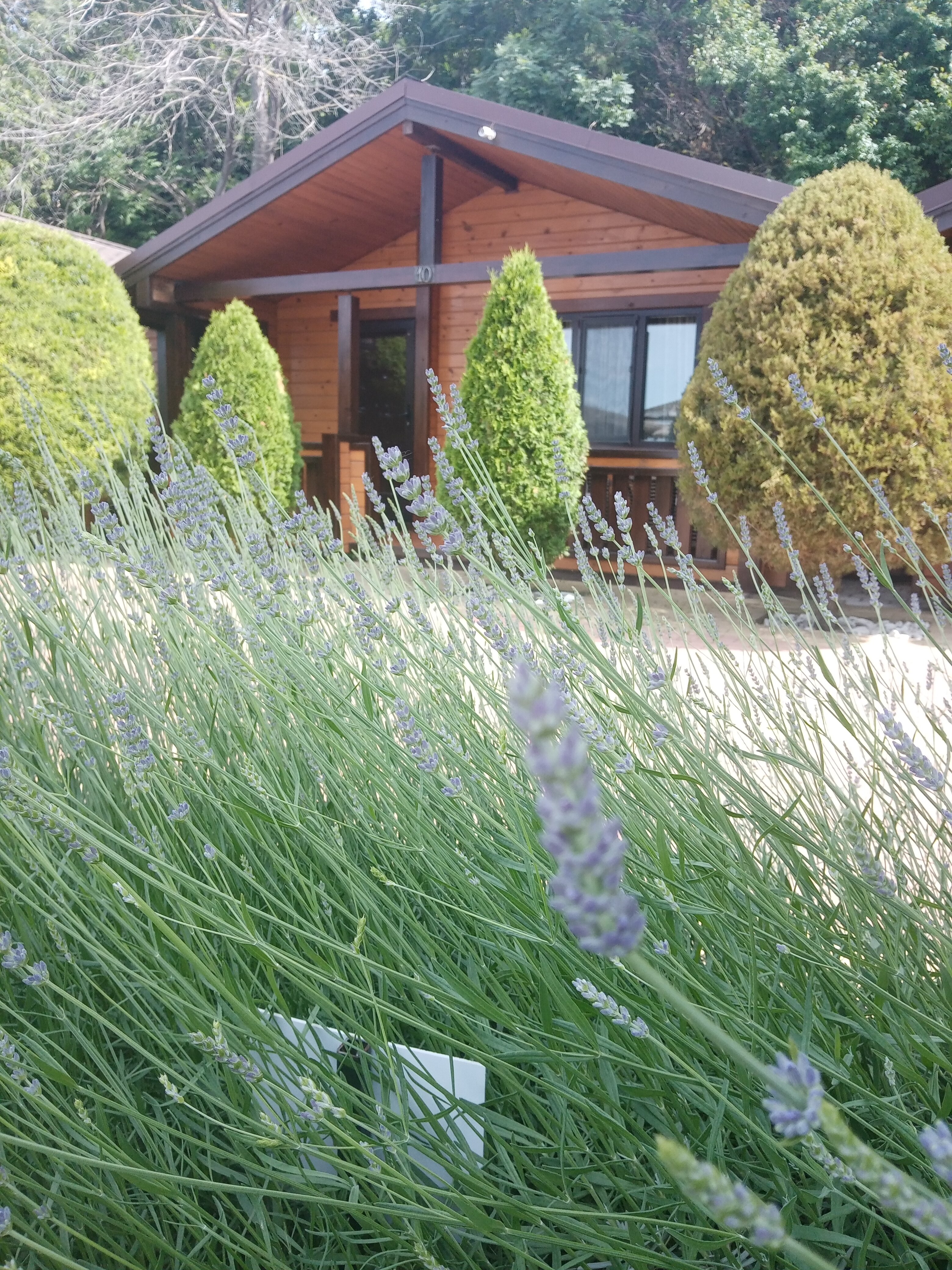 Фото Золотая бухта