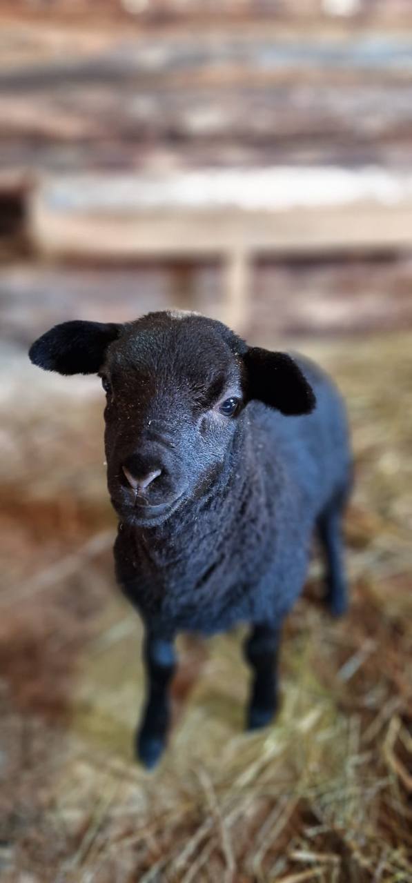 Фото Hunter Paradise