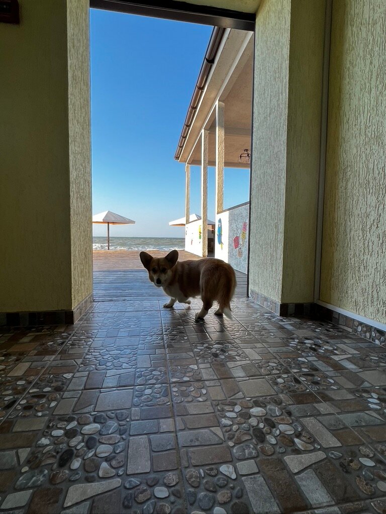 Фото Акварель Клуб