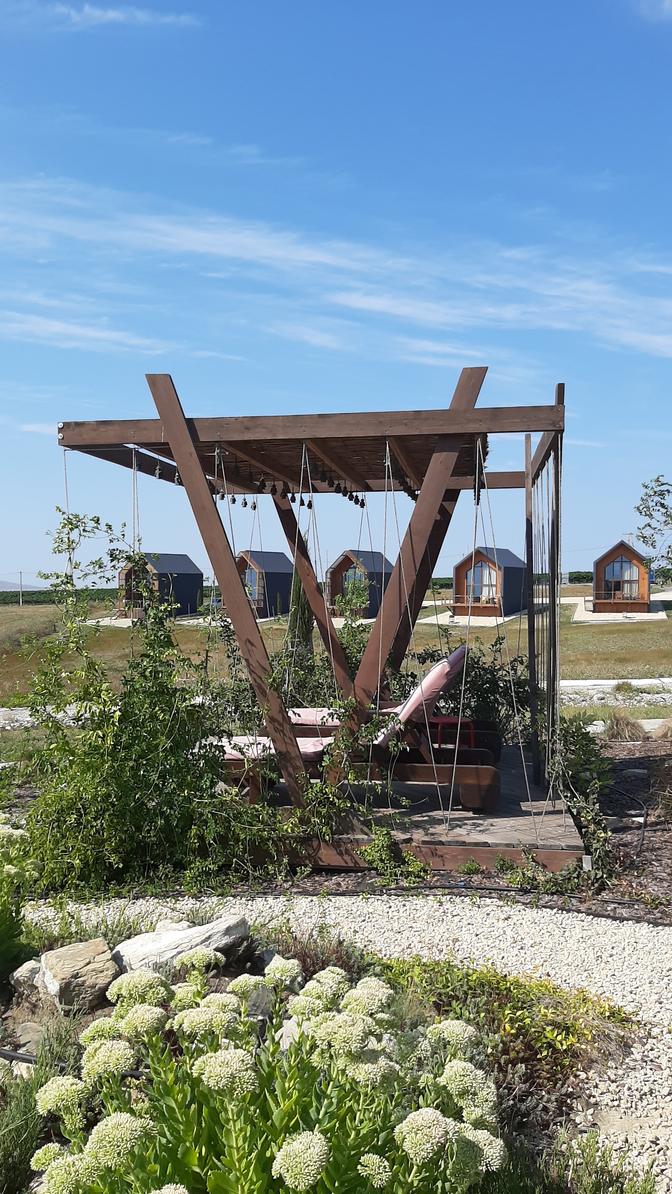 Фото Фридом