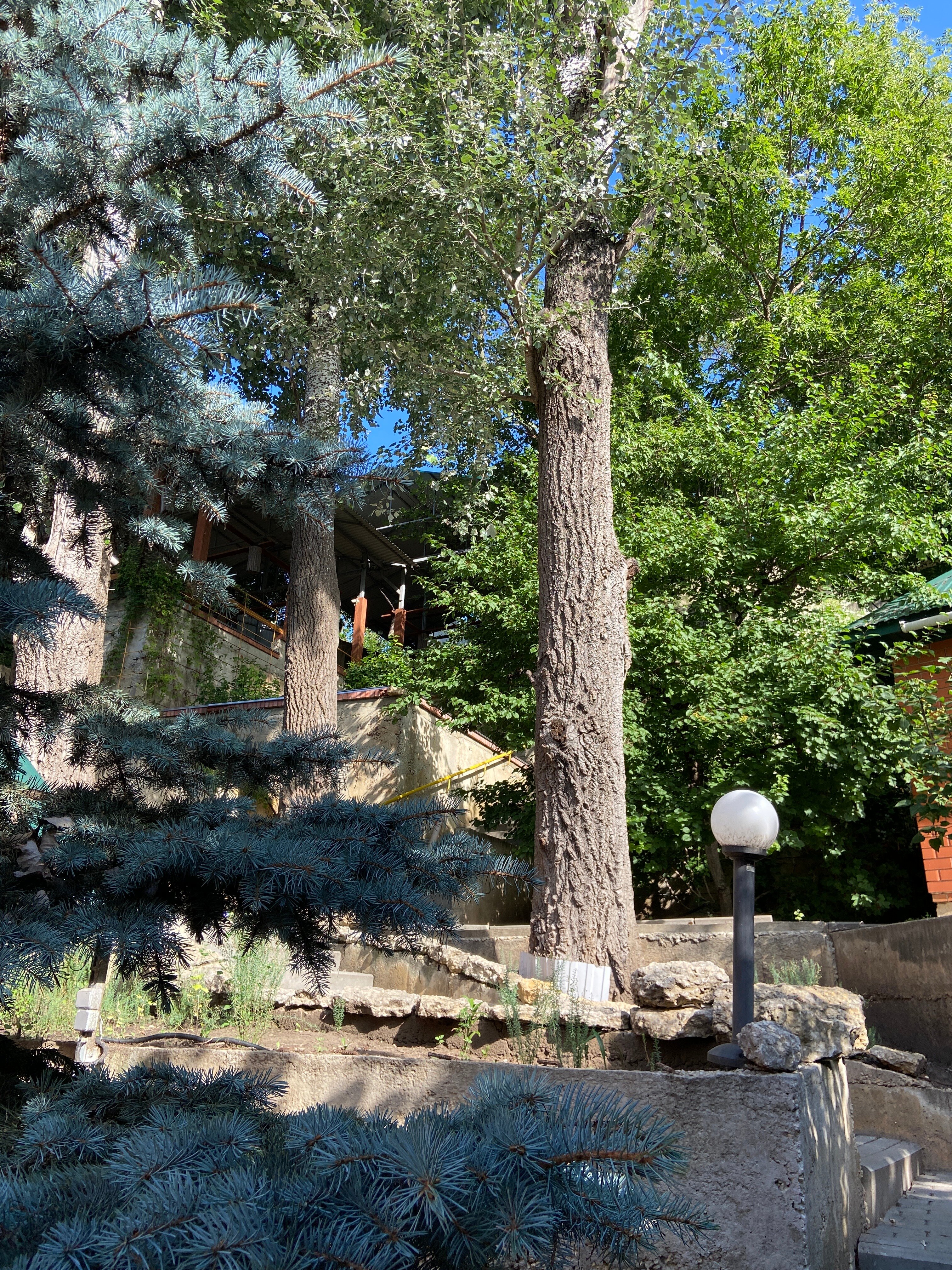 Фото Липовская