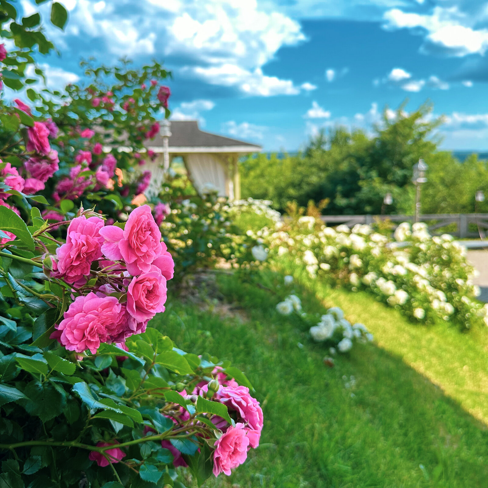 Фото Вознесенская Слобода