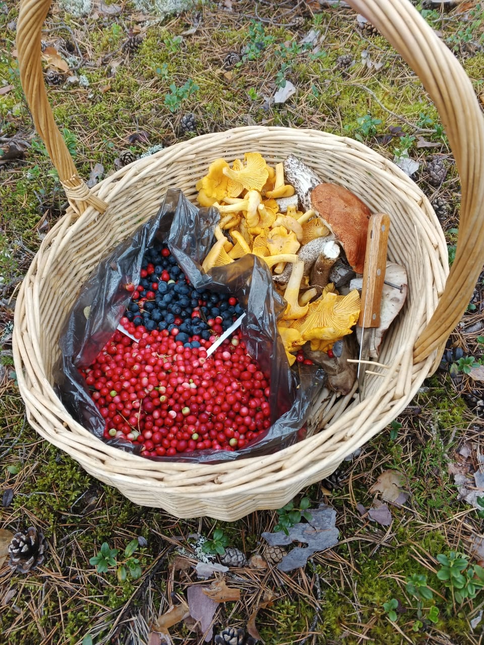 Фото Аквамарин