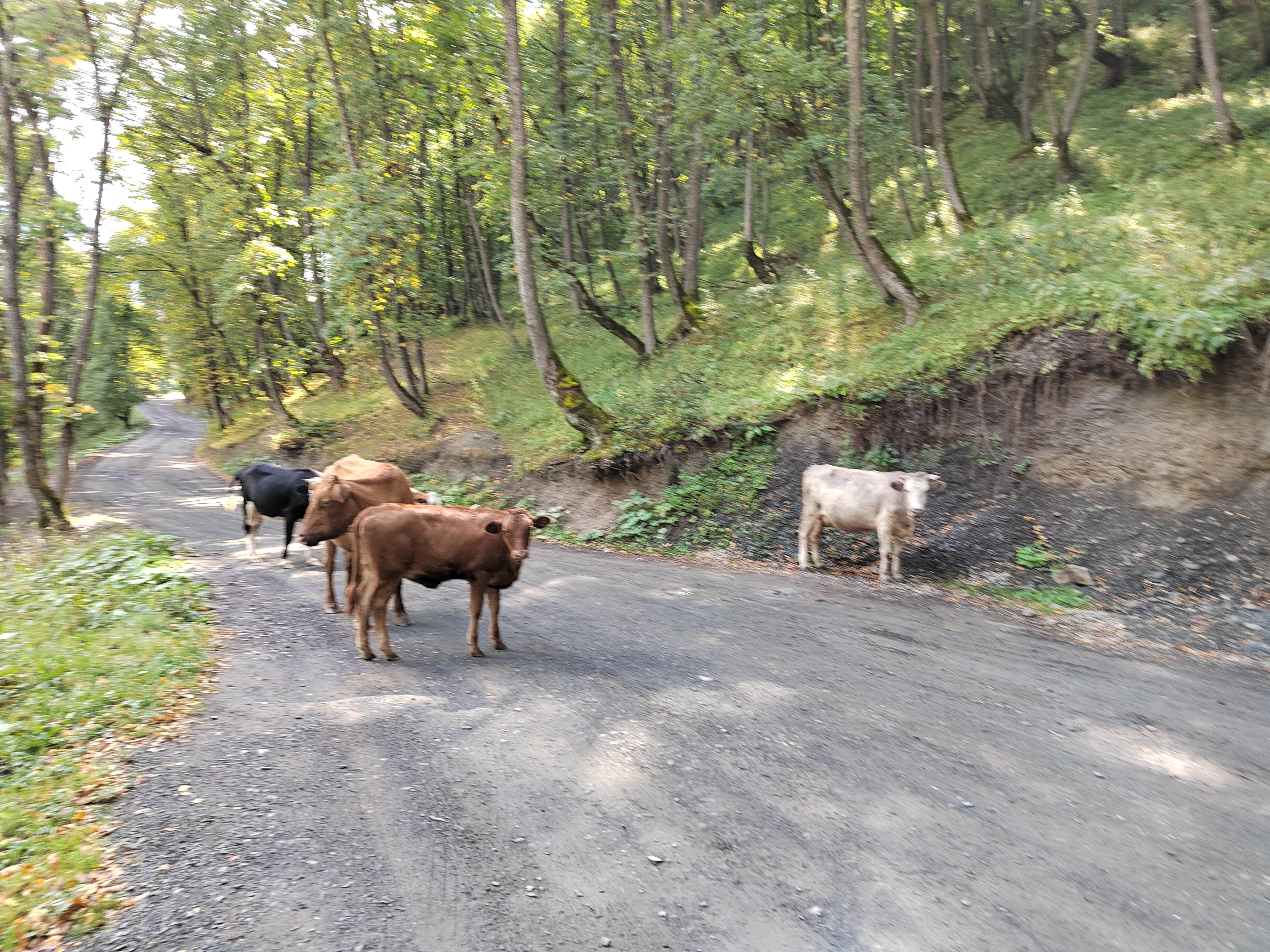 Фото Гостиница Армхи