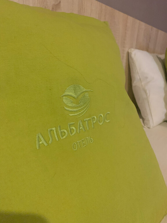 Фото Альбатрос