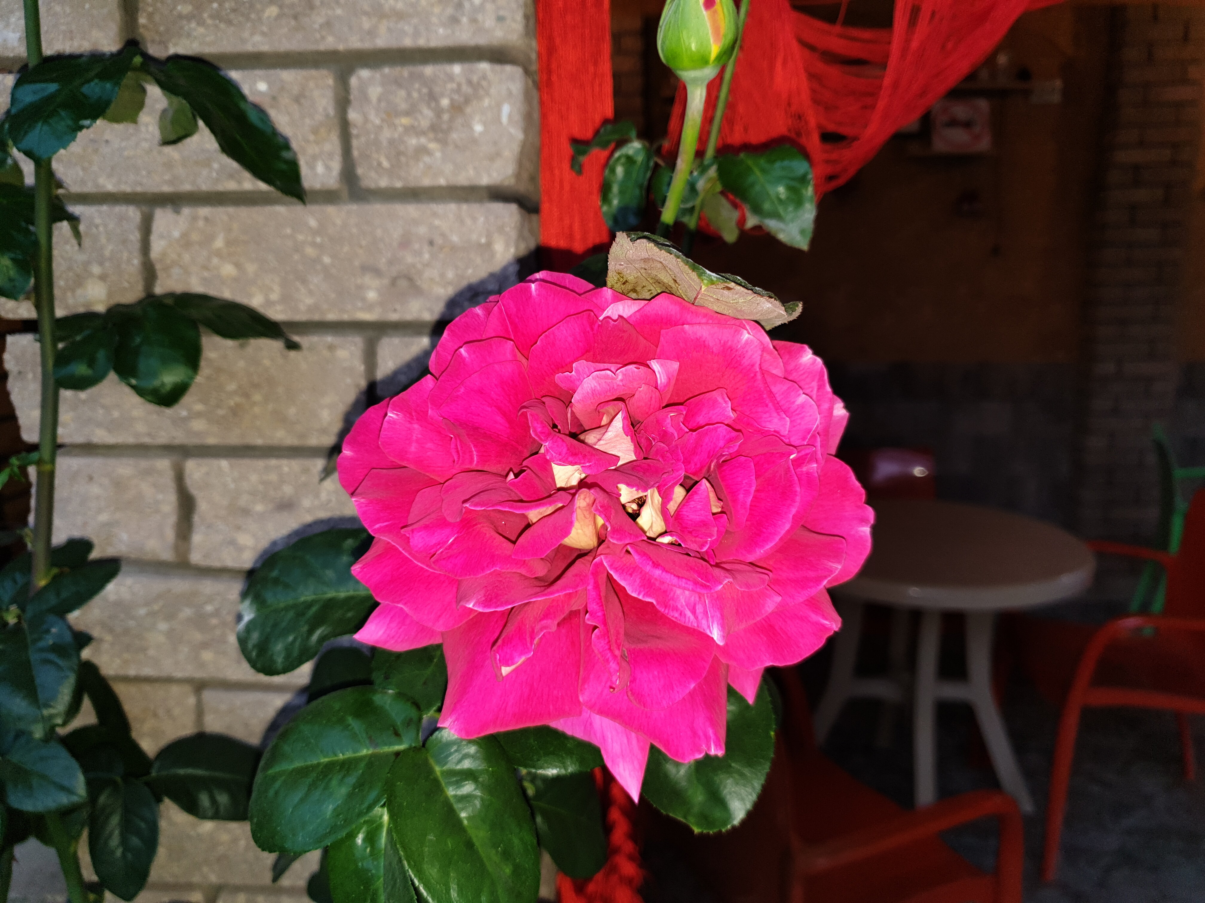 Фото Море Солнца