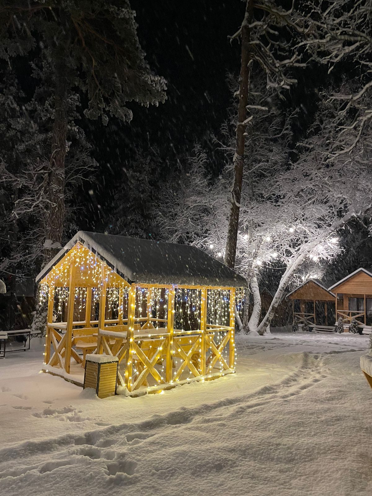 Фото Шале Хвоя