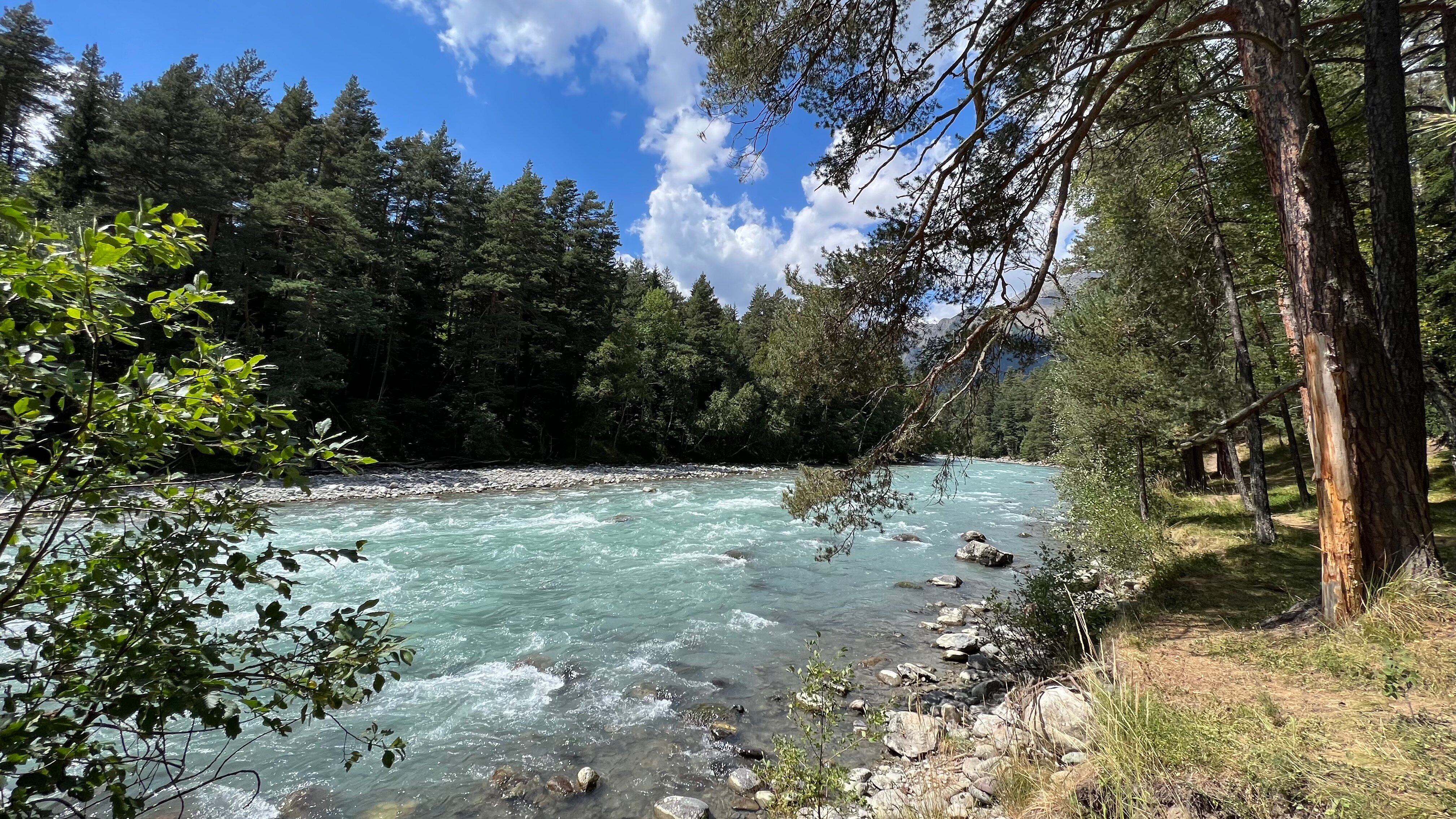 Фото Сосновый бор