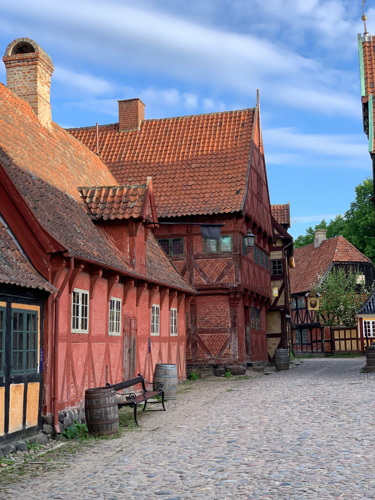 Landmark, attraction Old town, Aarhus, photo