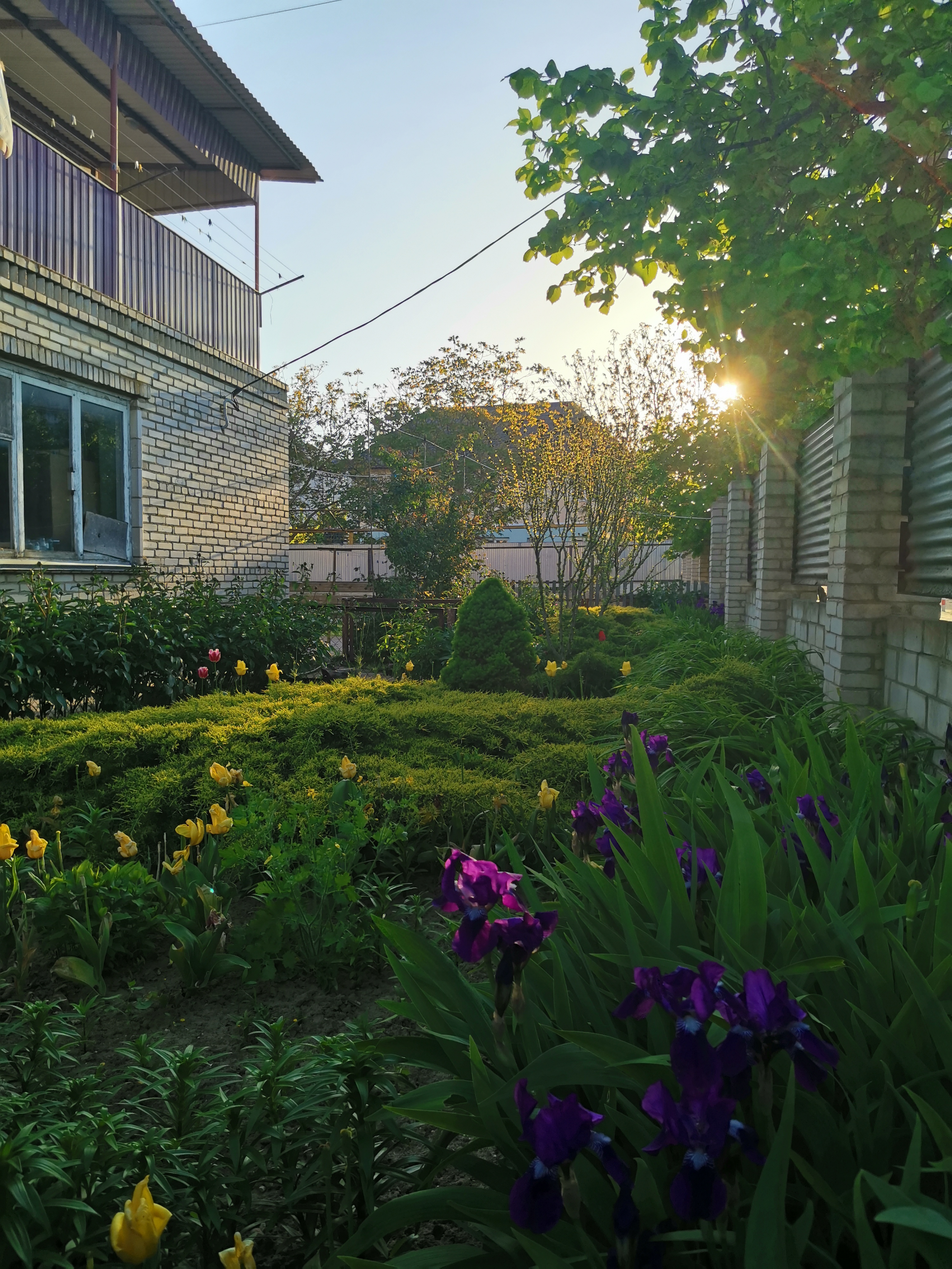 Фото Берег Благи