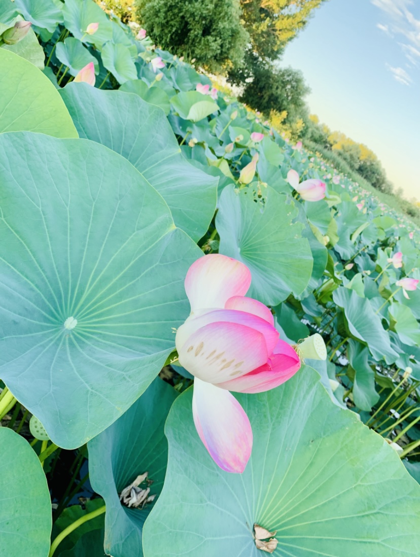 Фото Берлога