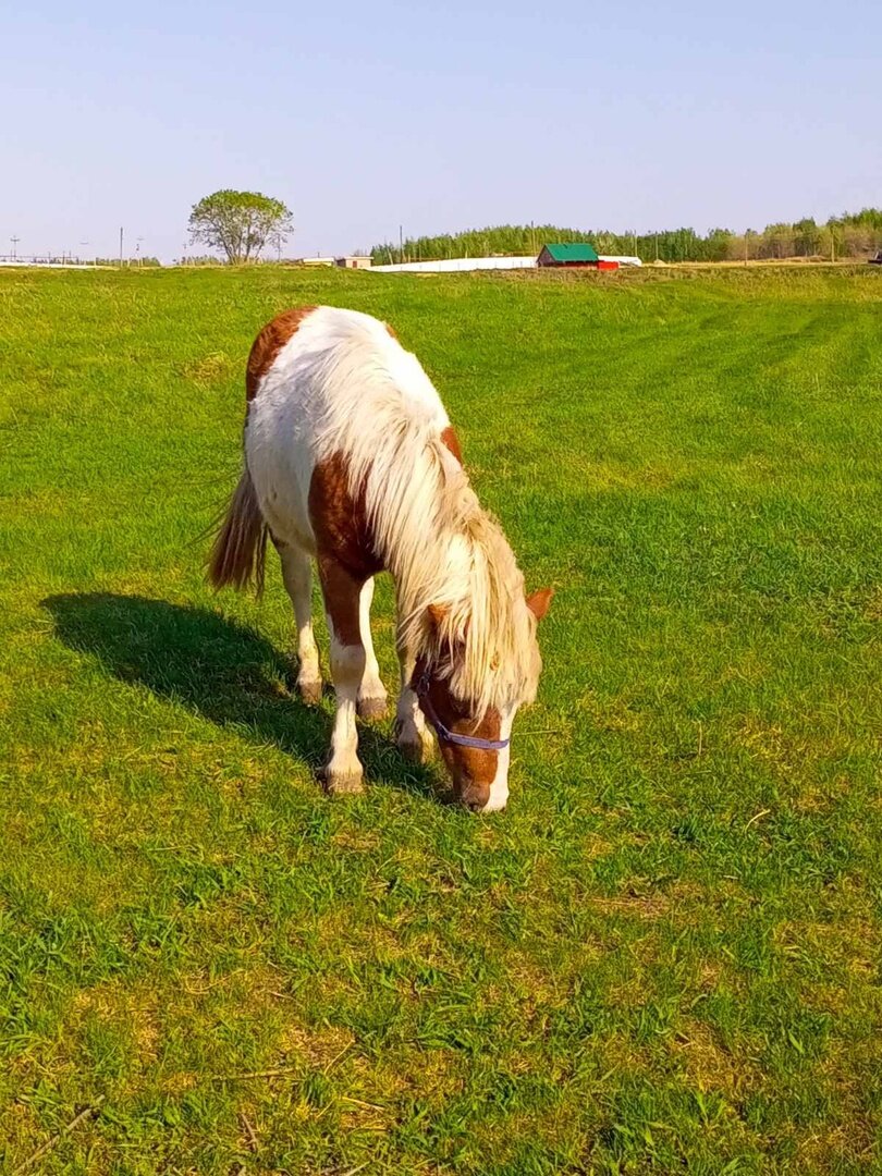 Фото Солнечный Пригорок