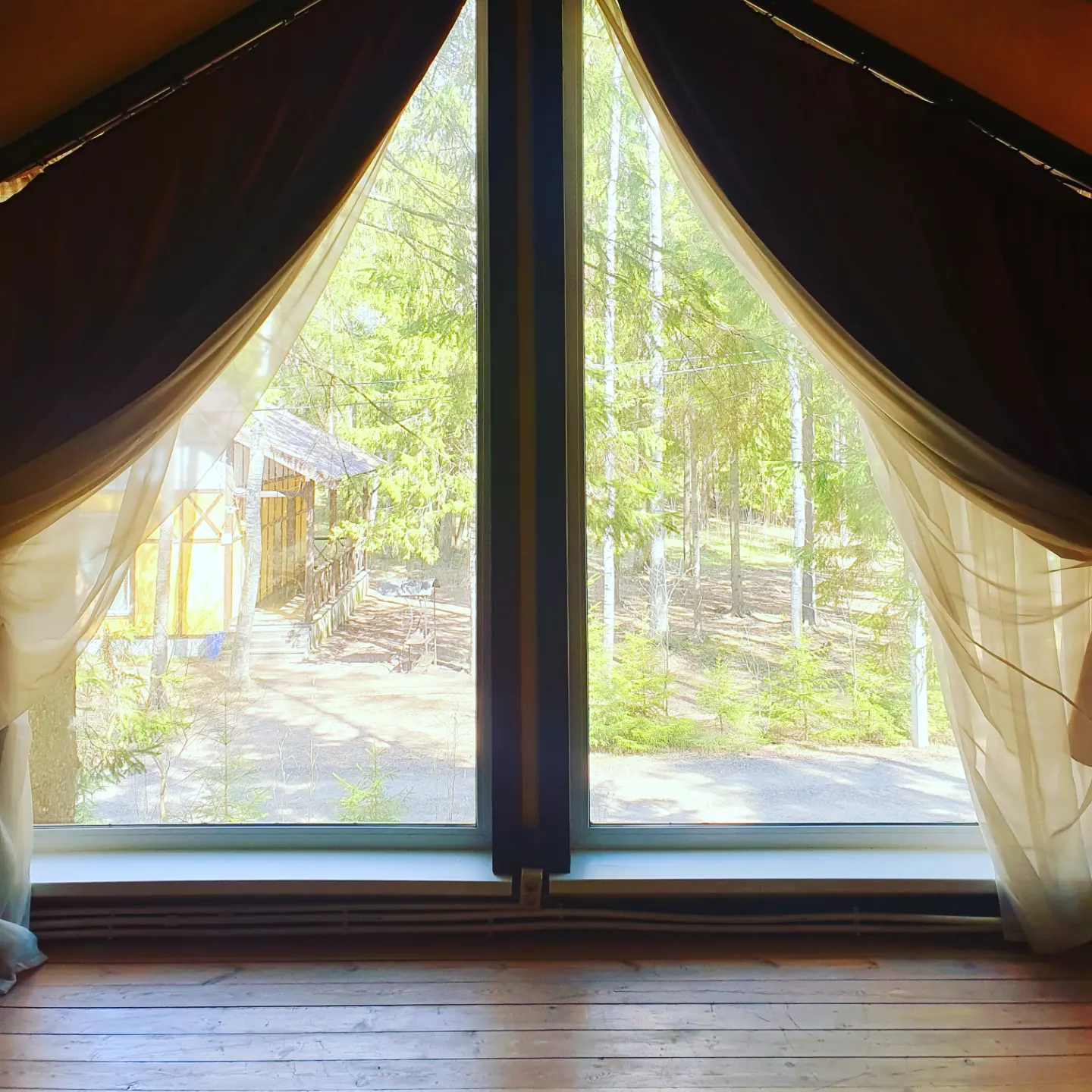 Фото Драгунский ручей