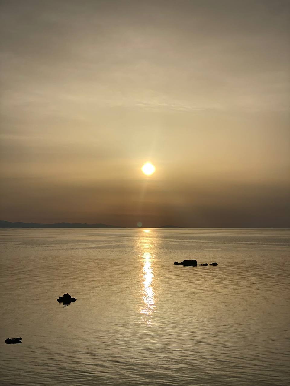 Фото Лагуна Plus