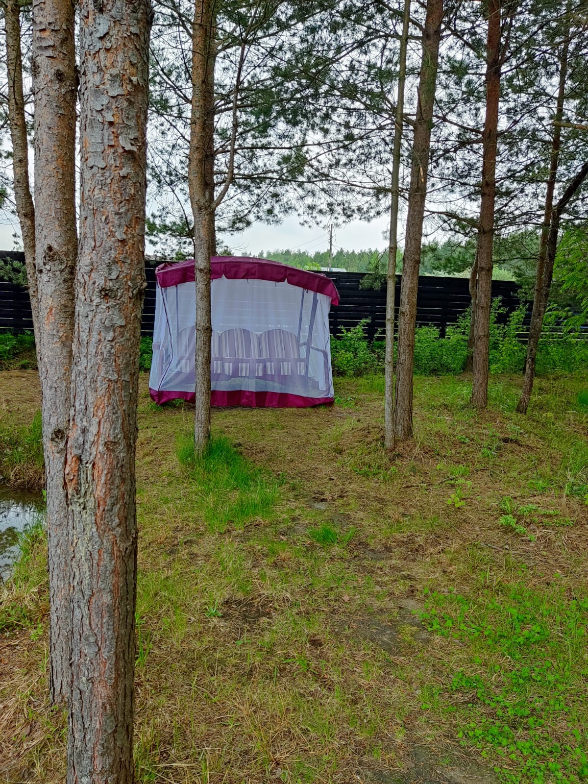 Фото Домик в лесу.76