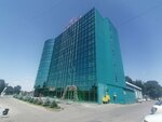 Kinur (Tole Bi Avenue, 93А), hoa, junta directiva de snt