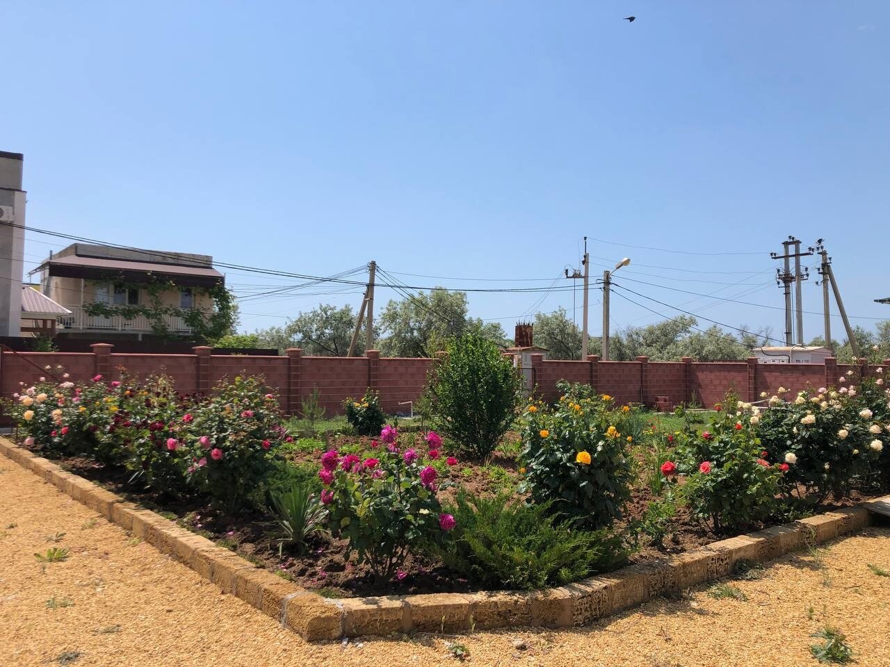 Фото Мерджан