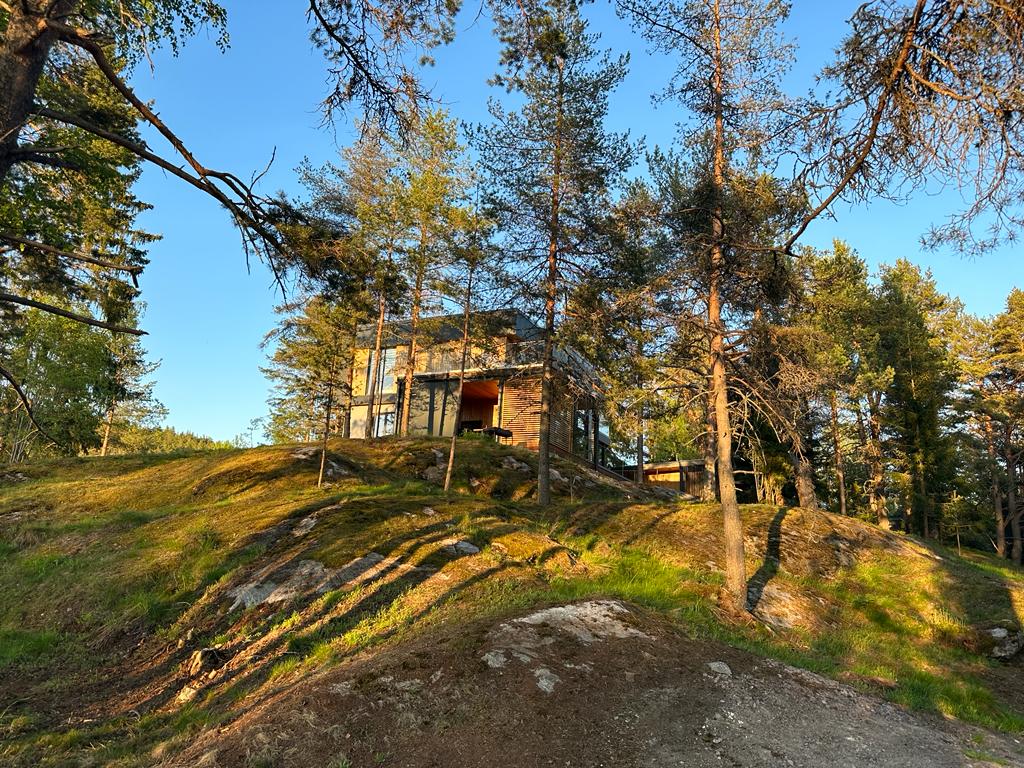 Фото Чайка 1918