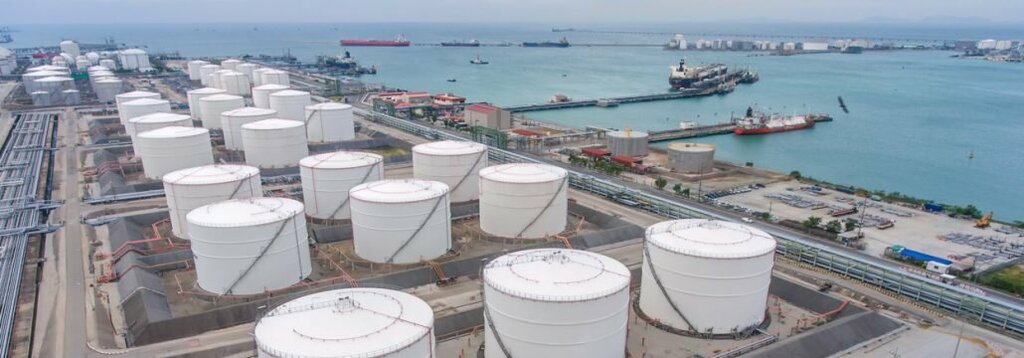 Wholesale company Black Gold Traders, Dubai, photo