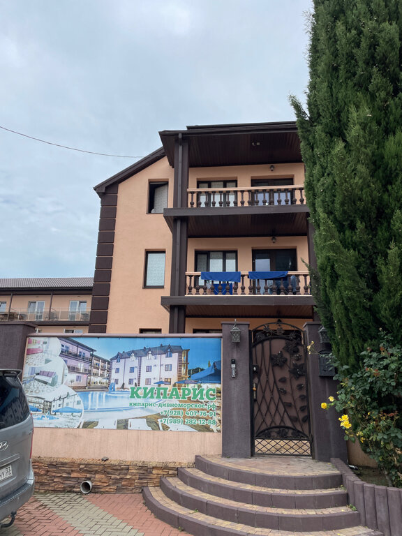 Фото Кипарис