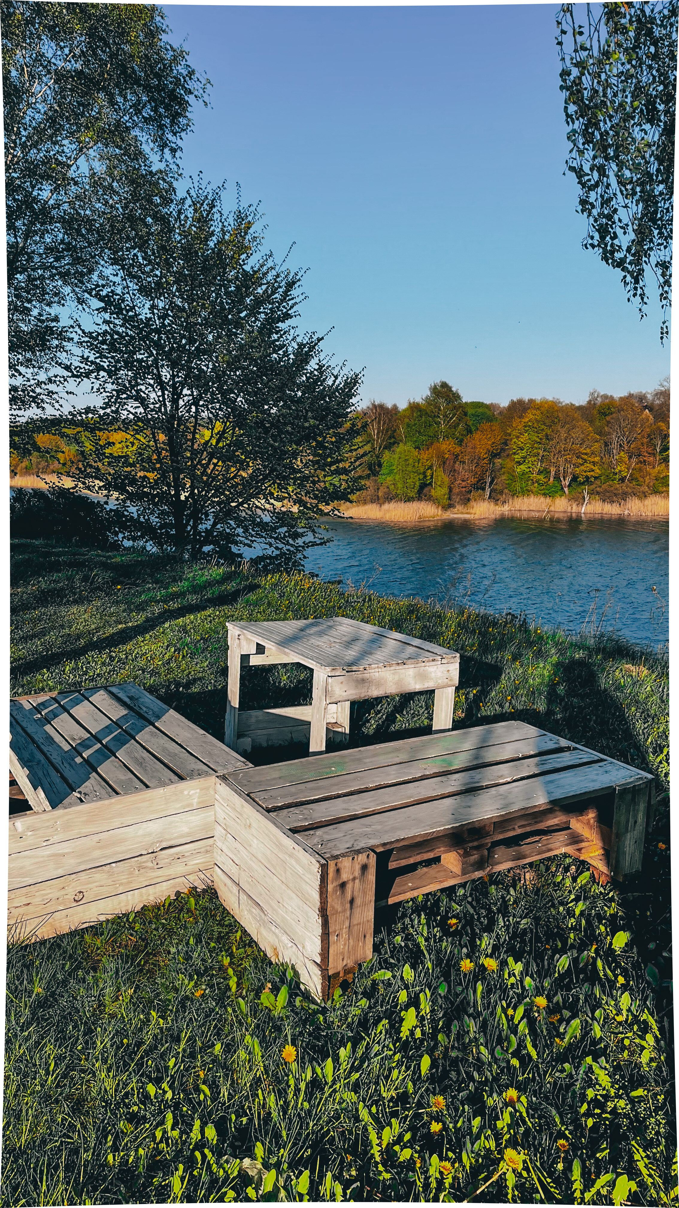 Фото 1000 Звёзд