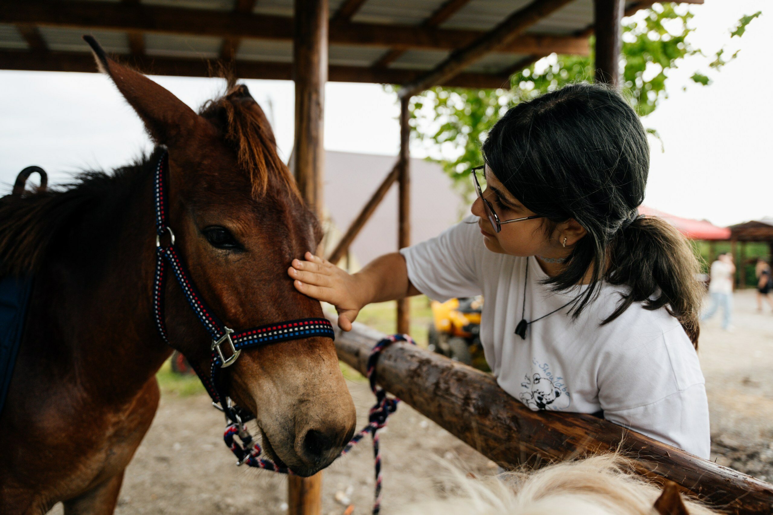 Фото Эко ферма Гуляй Поле