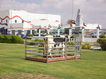 Al Ain Farms (8, Al Sababah Street, Madinat Zayed, Abu Dhabi), egg and poultry meat