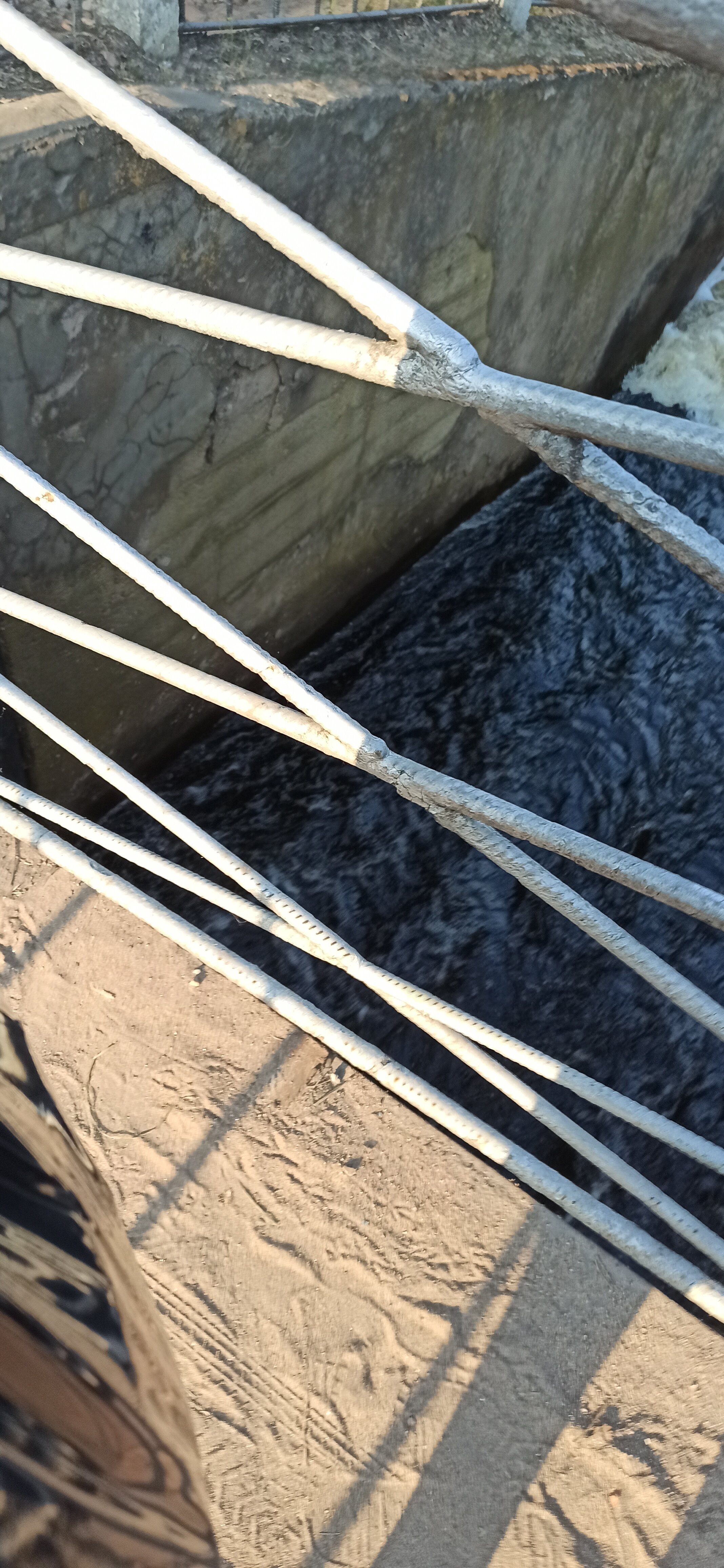 Фото Барин приехал