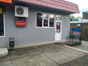 Yalangoch Pamela Anderson rasmlar