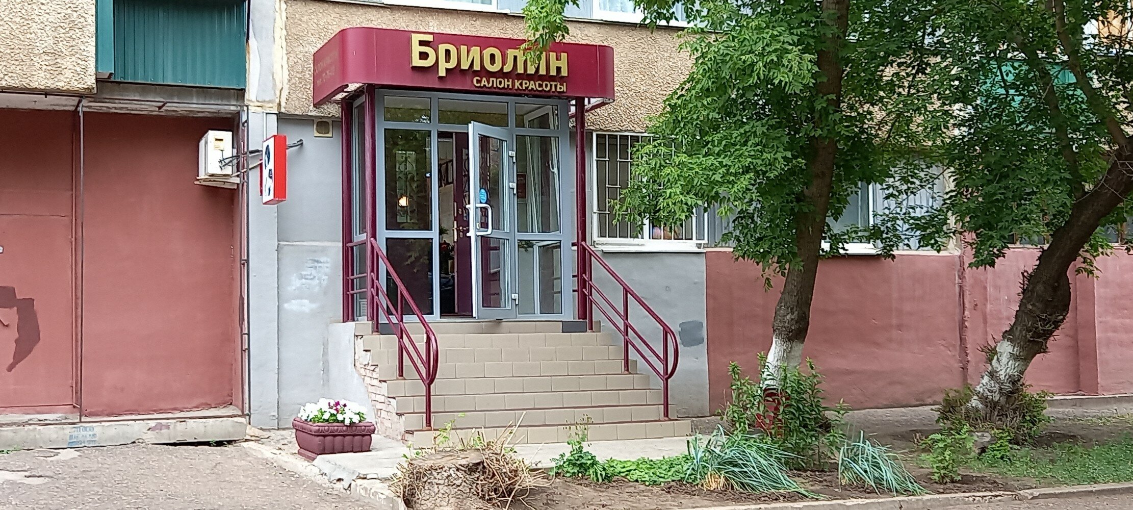 В Оренбурге власти поговорили о парке на улице Чкалова и забыли о нём? Новости О